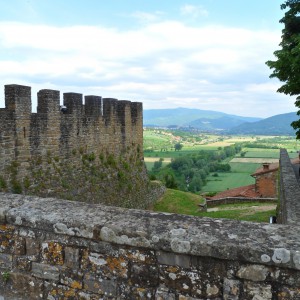 Castelli e Pievi del Casentino