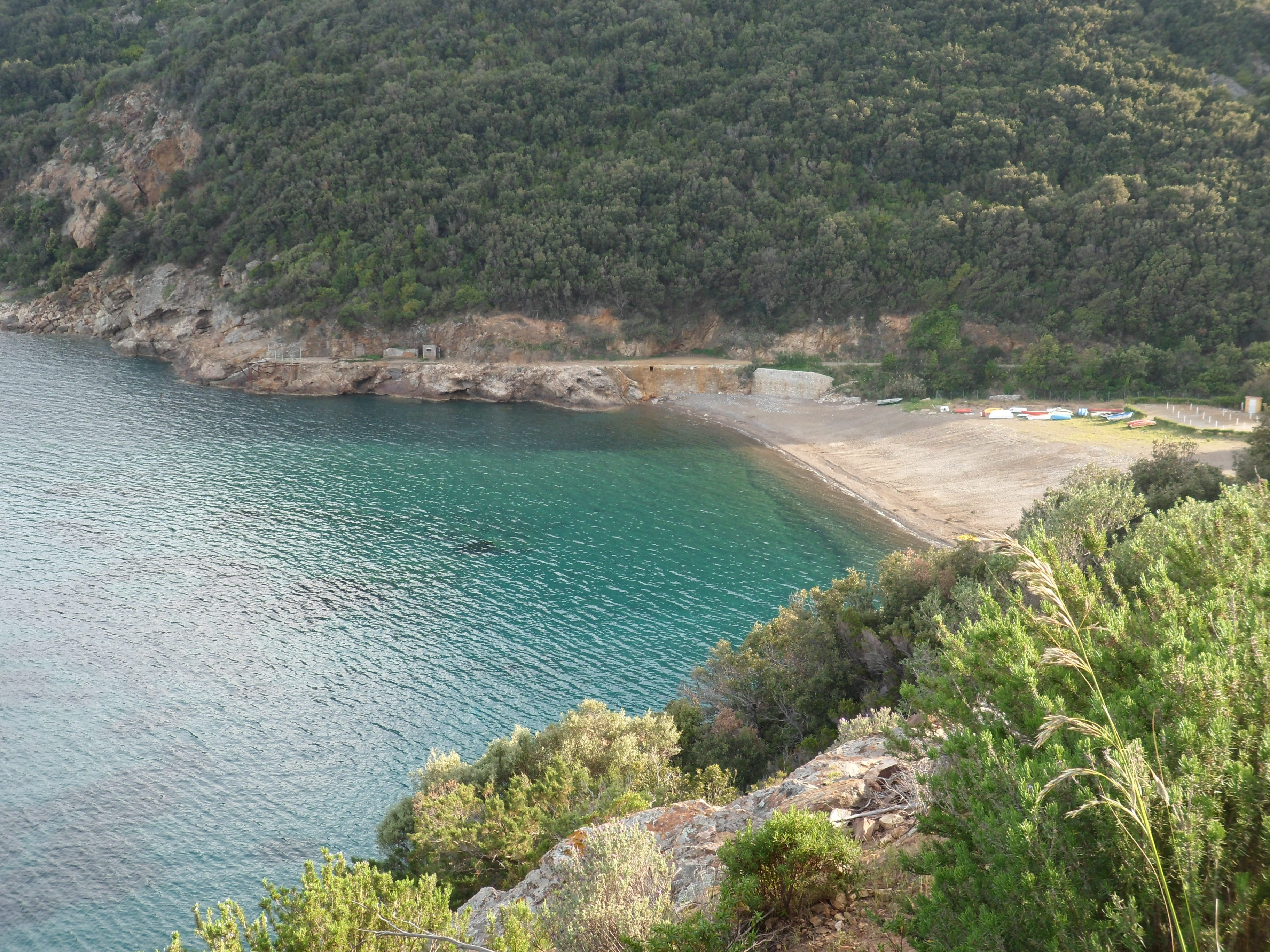 Gita all'isola d'Elba