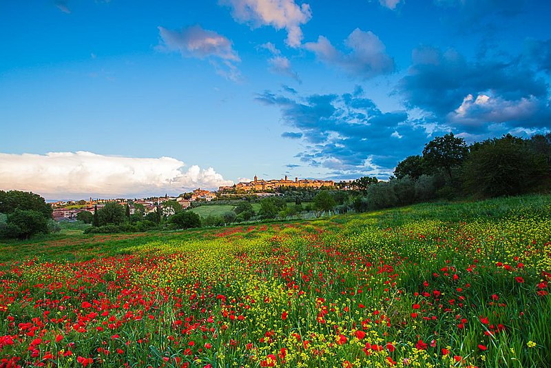 Borghi Tra Valdichiana e Val d'Orcia