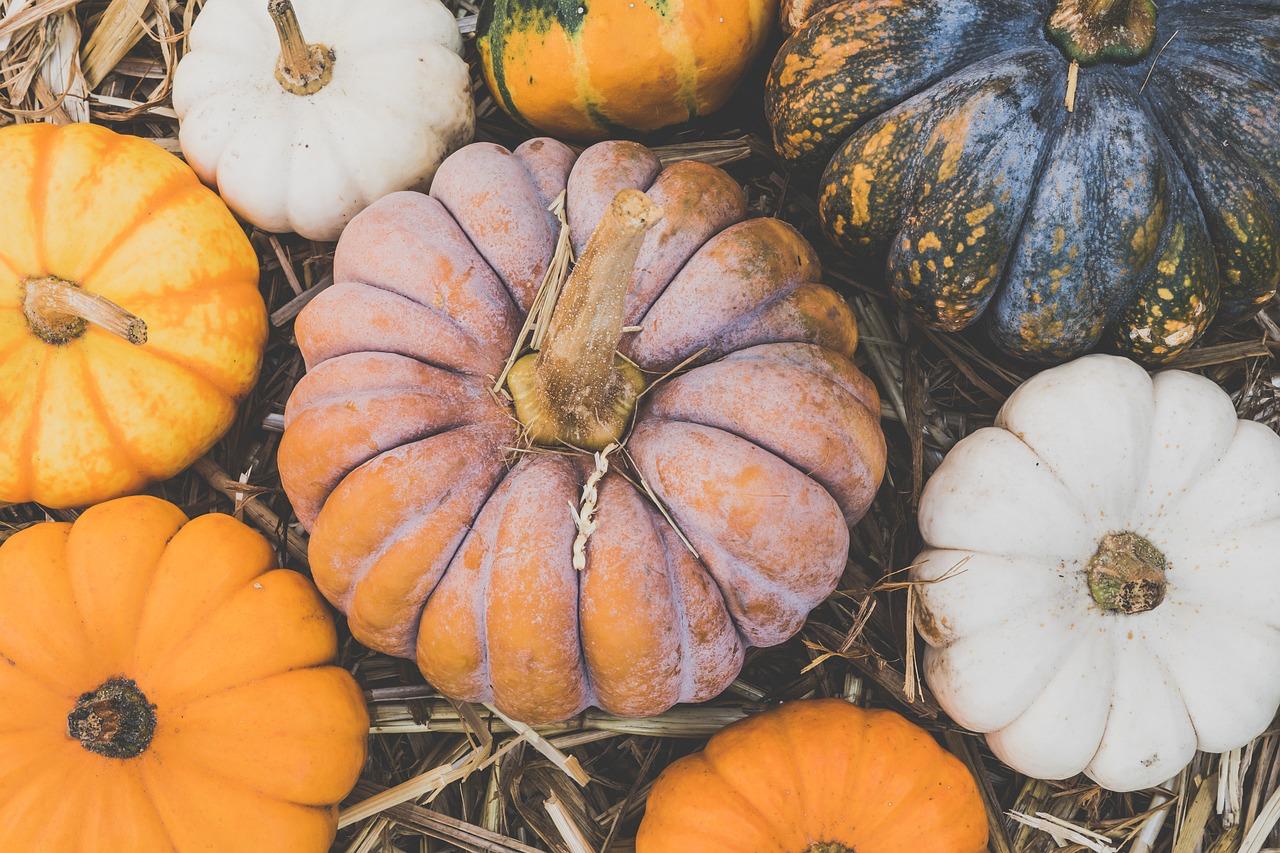 Dall'aglio alla zucca: migliorare la salute con erbe, frutta e verdura