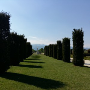 Suggestioni Piemontesi (gita a Torino)