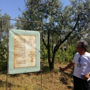 Da Leonardo alla Contemporaneita'