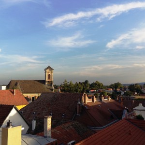 Le capitali del Danubio