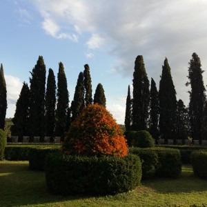 Badia a Passignano e San Donato in Poggio 