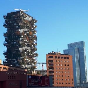 Milano e Picasso