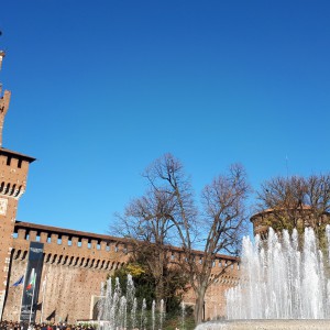 Milano e Picasso