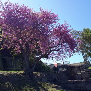 Matera, Paestum e Certosa La Padula