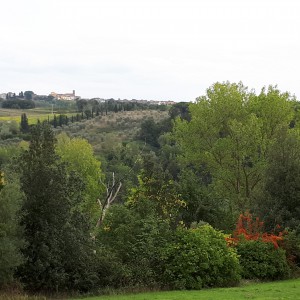 Alla scoperta di Villa Saletta