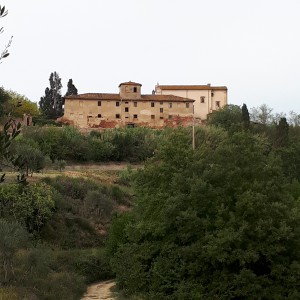 Alla scoperta di Villa Saletta