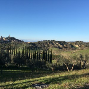 Ripartiamo da casa: San Miniato al Tedesco