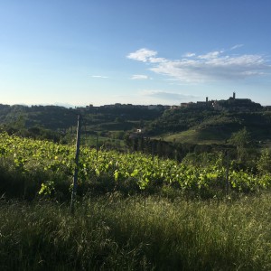 Ripartiamo da casa: San Miniato al Tedesco