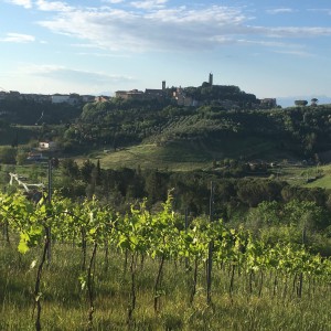 Ripartiamo da casa: San Miniato al Tedesco