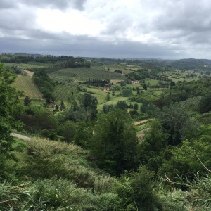 Ripartiamo da casa: San Miniato al Tedesco