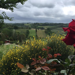 Ripartiamo da casa: San Miniato al Tedesco