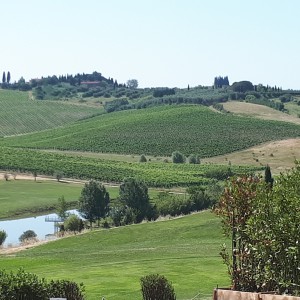 Discover Leonardo, uno sguardo sul genio