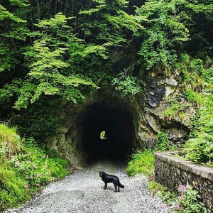 Nella Valle del Lucido: Il segreto di Equi Terme