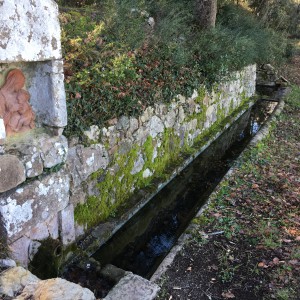 La Riserva di Montenero