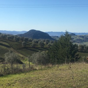 La Riserva di Montenero