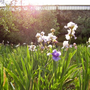 La Firenze dei giardini