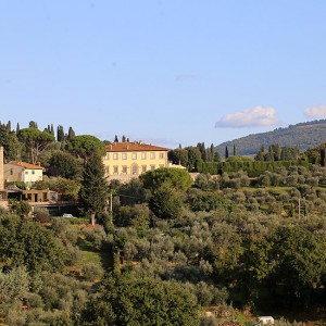 I Giardini di Villa Gamberaia e Settignano