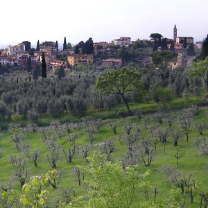 I Giardini di Villa Gamberaia e Settignano