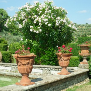 I Giardini di Villa Gamberaia e Settignano