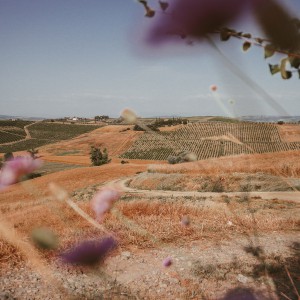 I colli Medicei: pedalata fotografica