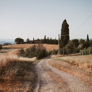 I colli Medicei: pedalata fotografica