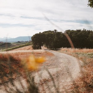 I colli Medicei: pedalata fotografica