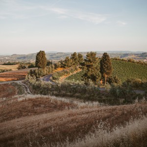 I colli Medicei: pedalata fotografica