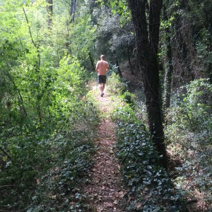 L'Acquedotto di Colognole