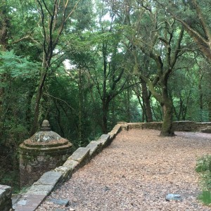 L'Acquedotto di Colognole