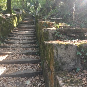 L'Acquedotto di Colognole