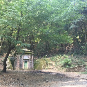 L'Acquedotto di Colognole