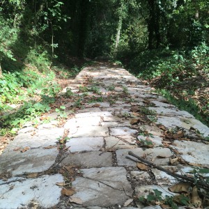 L'Acquedotto di Colognole
