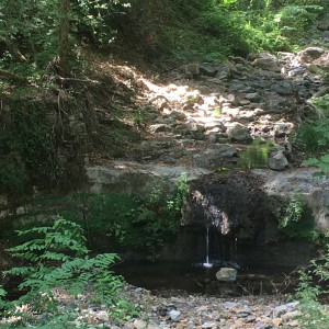 L'Acquedotto di Colognole