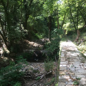 L'Acquedotto di Colognole