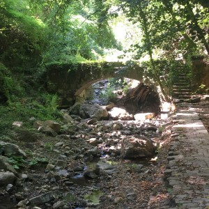L'Acquedotto di Colognole