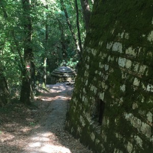 L'Acquedotto di Colognole