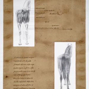 L'arte...del disegno!