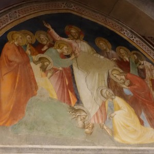 Pistoia e l'Anno Santo Jacobeo