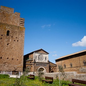 Tuscania e fioritura della lavanda (con degustazione)