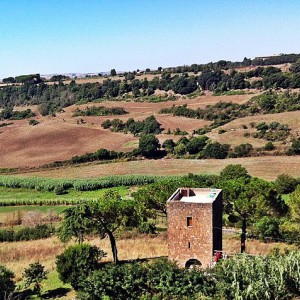 Tuscania e fioritura della lavanda (con degustazione)