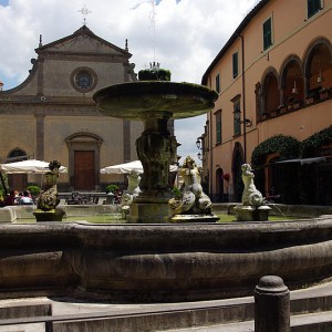 Tuscania e fioritura della lavanda (con degustazione)