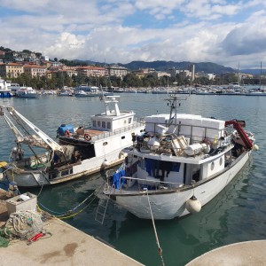 Porto Venere e Golfo dei Poeti: escursione guidata in gommone!