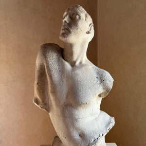 La Madonna di Raffaello a Pescia
