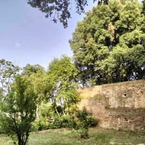 Disegniamo il Parco!