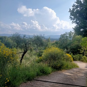 Le 'Balze del Valdarno'