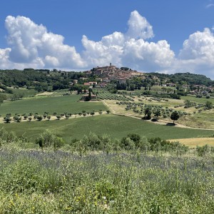 L'ANELLO DELLE GROTTE GIALLE 