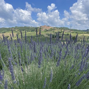 L'ANELLO DELLE GROTTE GIALLE 